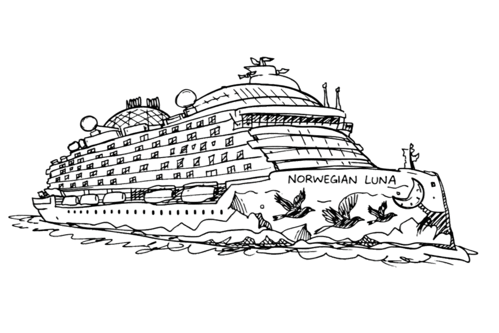 What Is a Solo Cruise? A solo cruise is a vacation on a cruise ship where an individual travels alone rather than with a partner, friend, or group